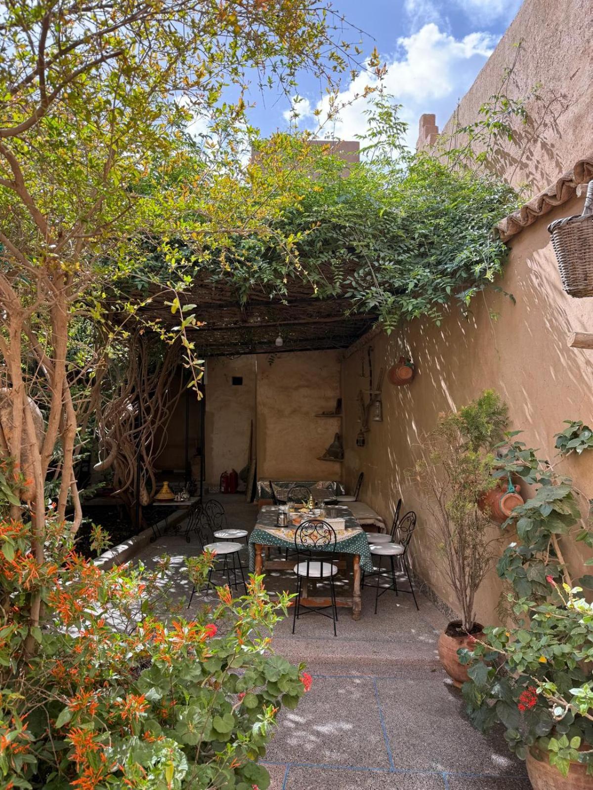 Oasis De Tiout Daire Dış mekan fotoğraf